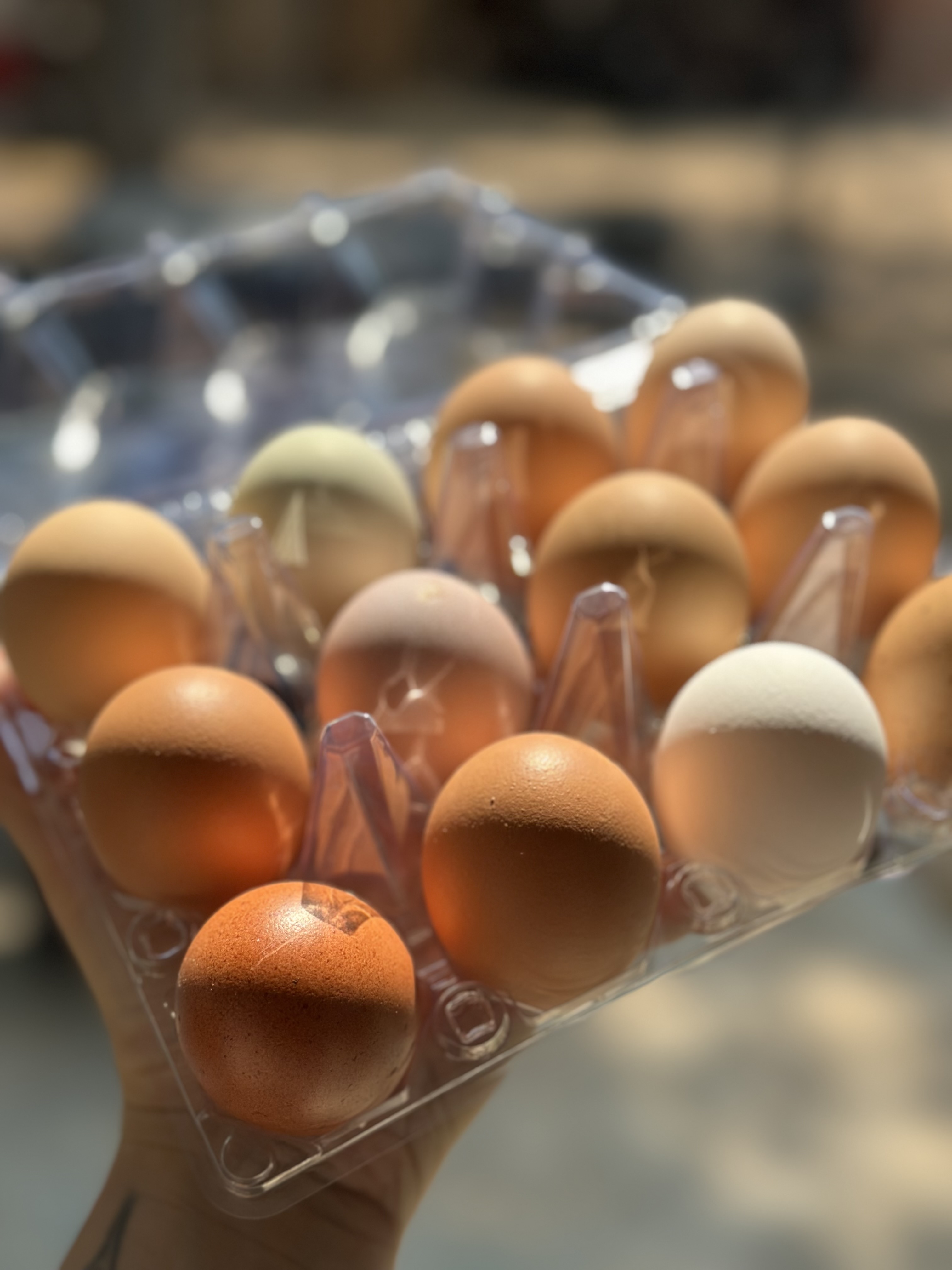 Farm Fresh Eggs