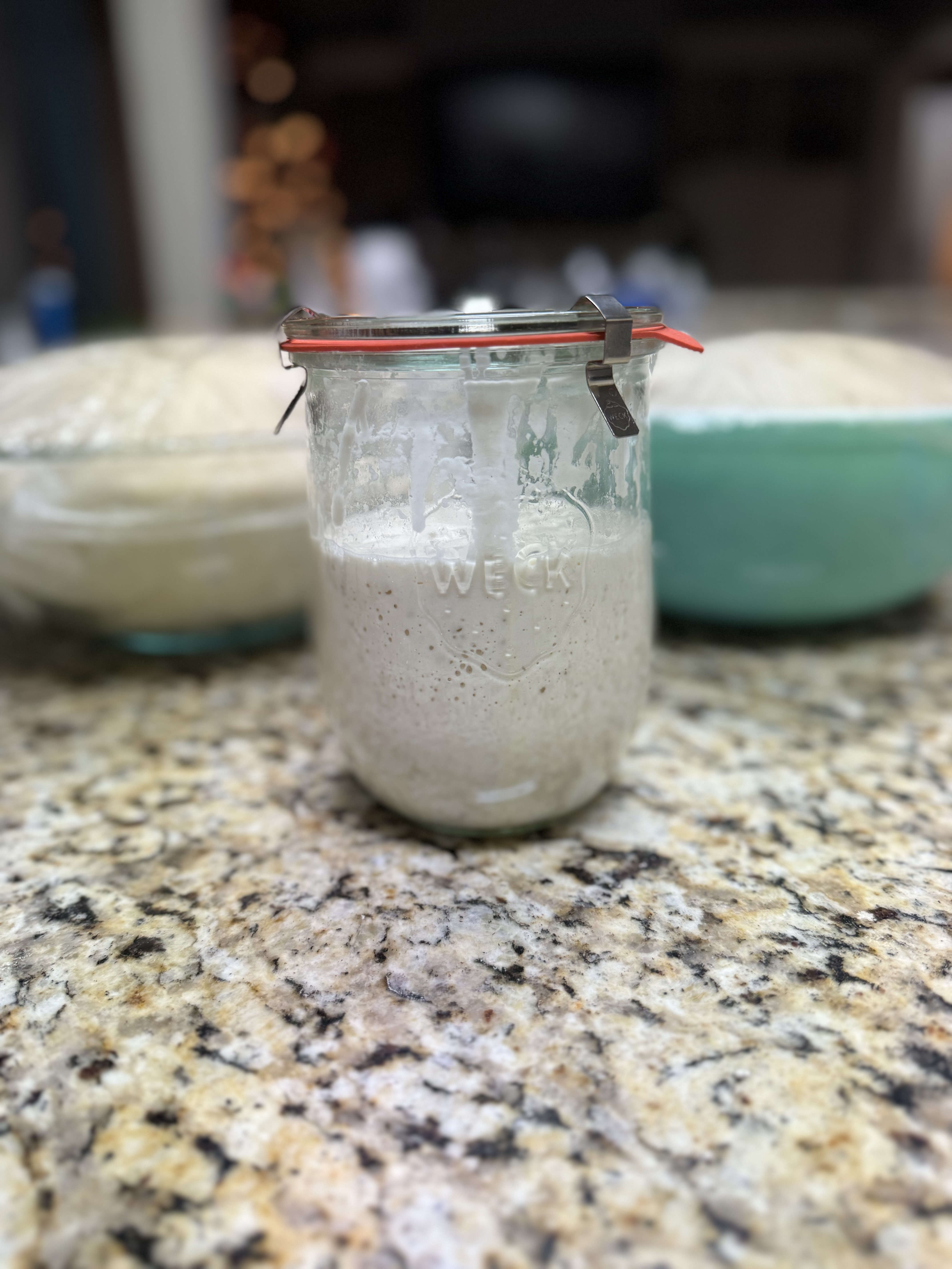 Sourdough Starter
