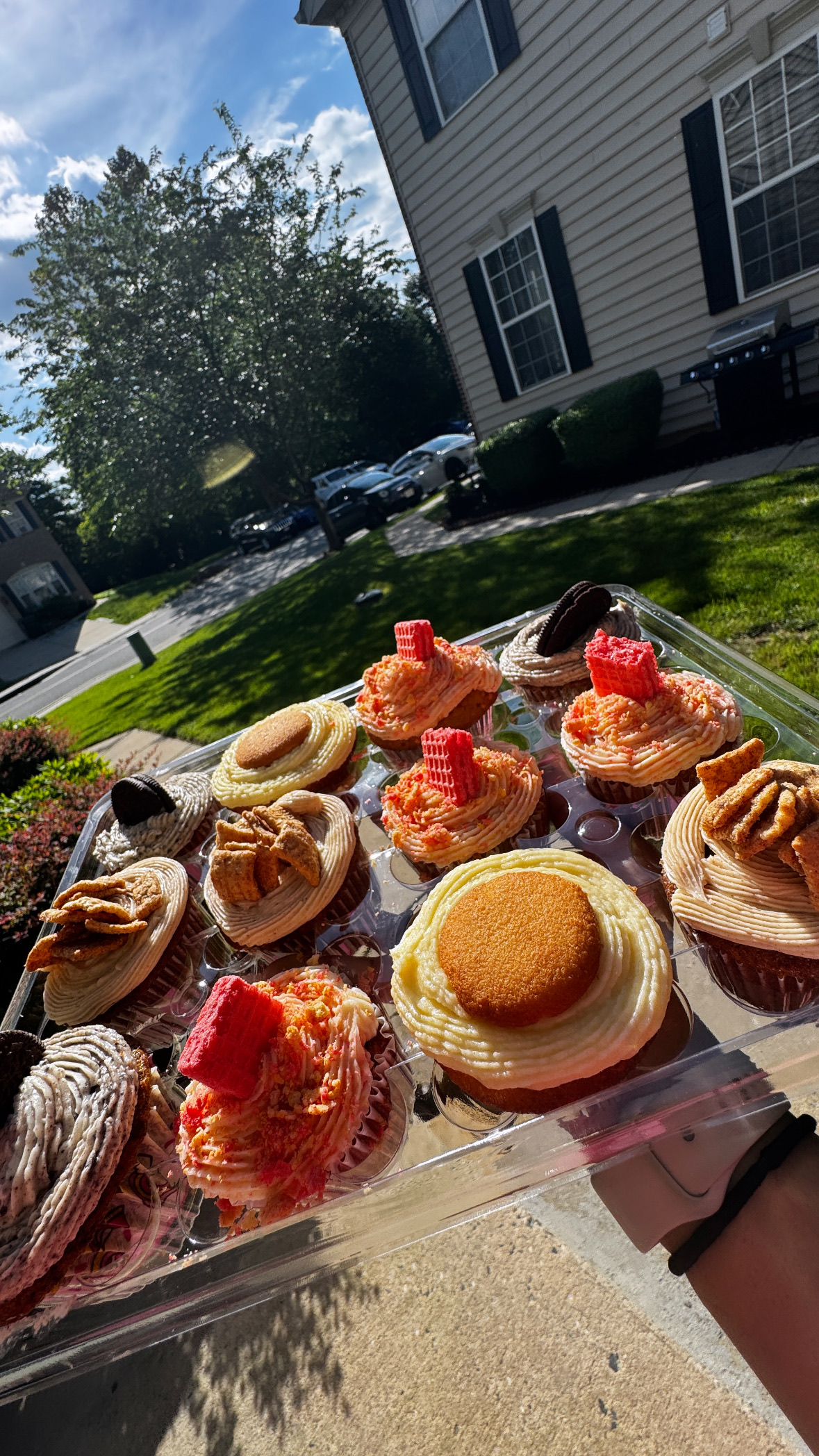 gourmet cupcakes 
