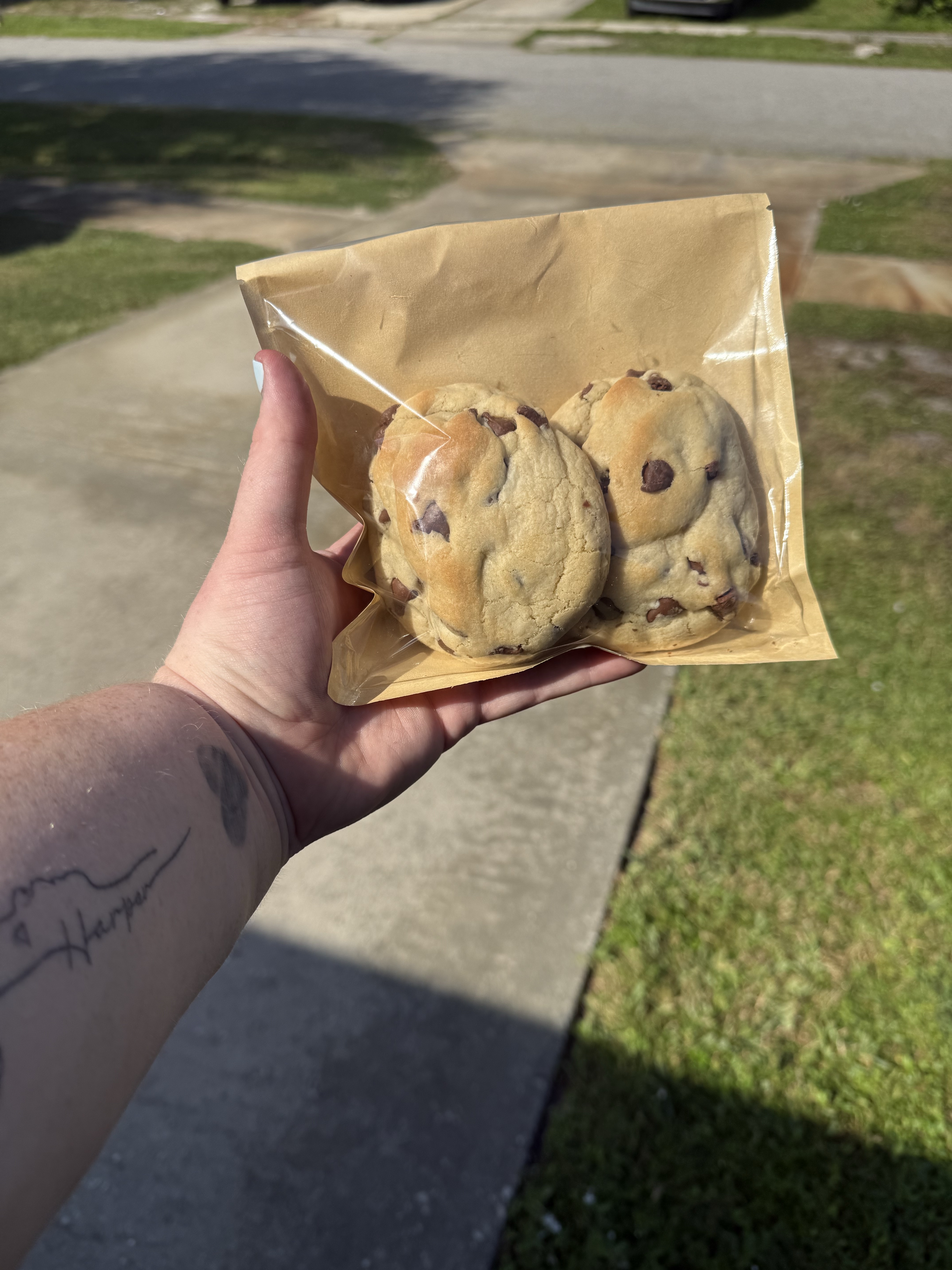 Chocolate Chip Cookies 2 Pack
