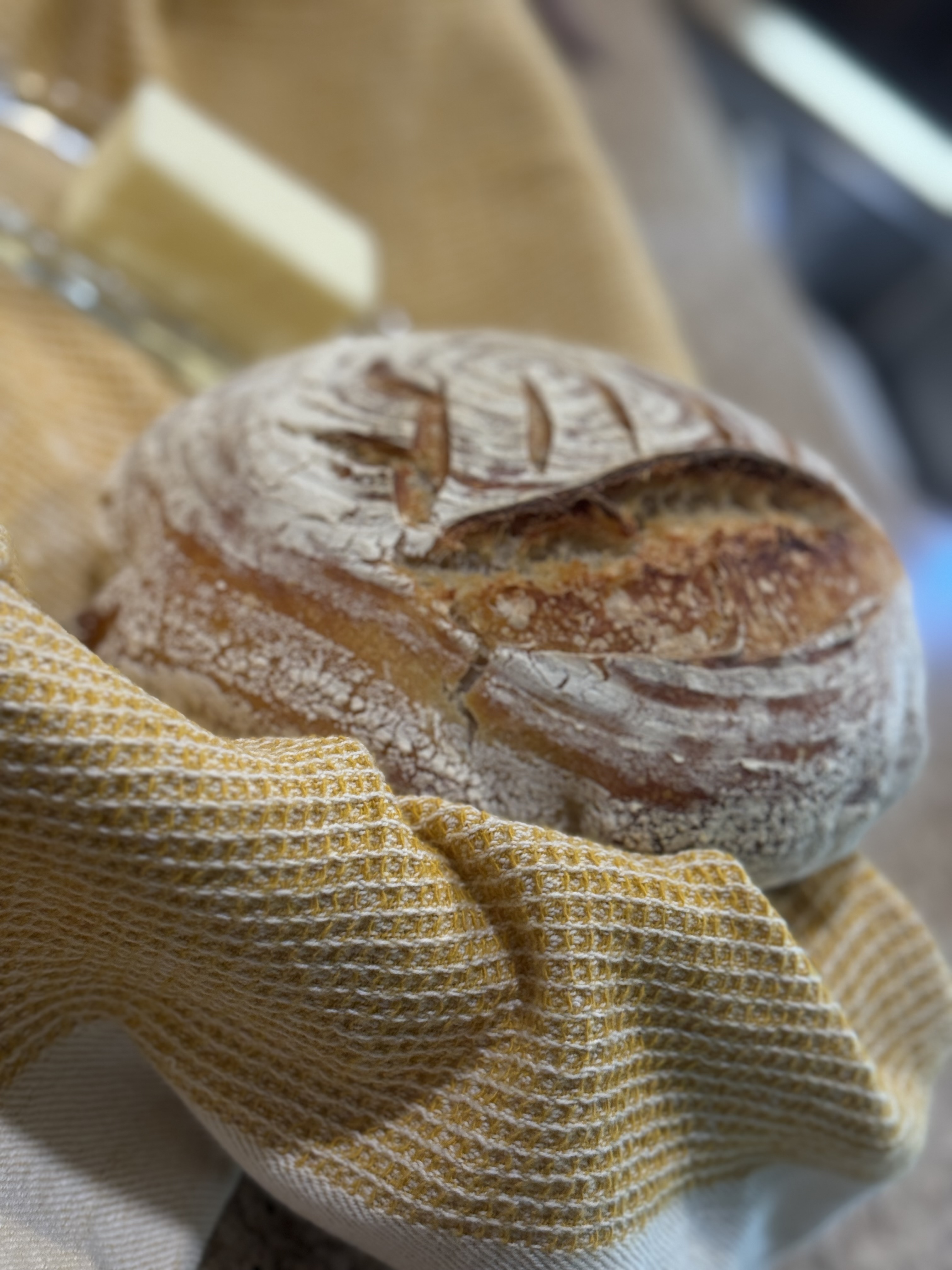 Sourdough Bread