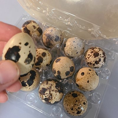 12 Quail Eggs