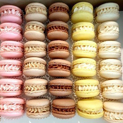 Macaron Party Pack 🥳 