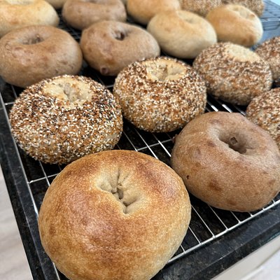 Sourdough Bagels