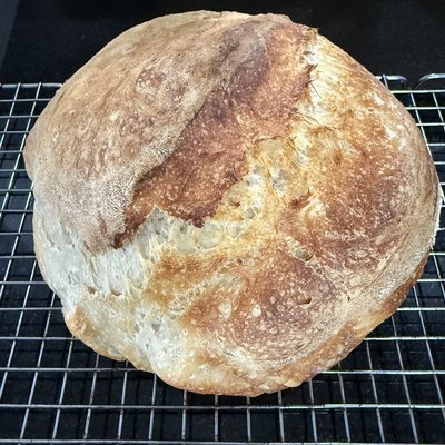 Sourdough Bread Boule 