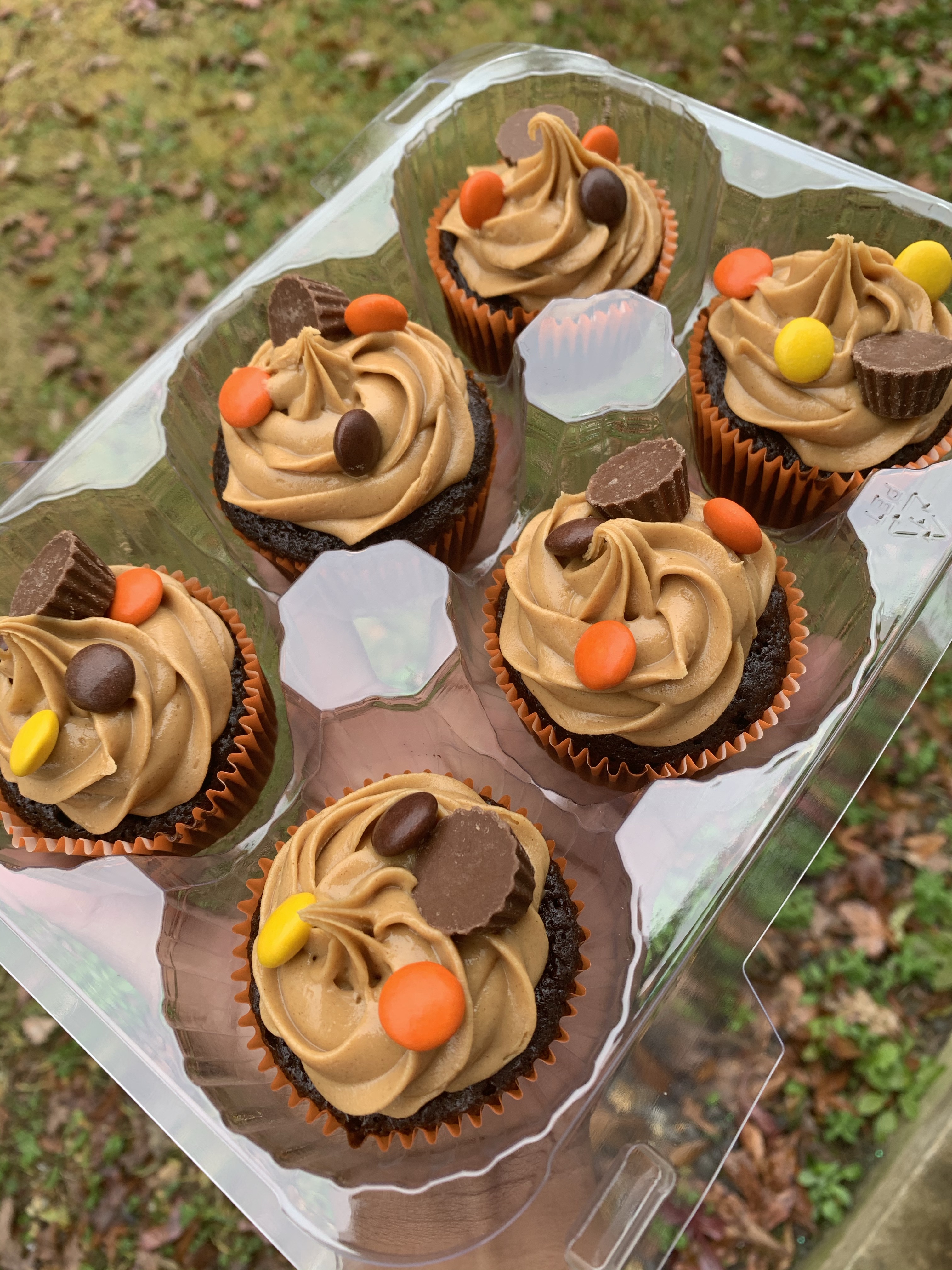 Reese’s Pieces Cupcakes 
