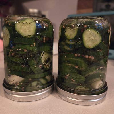 Garlic Dill Pickles- 16oz.