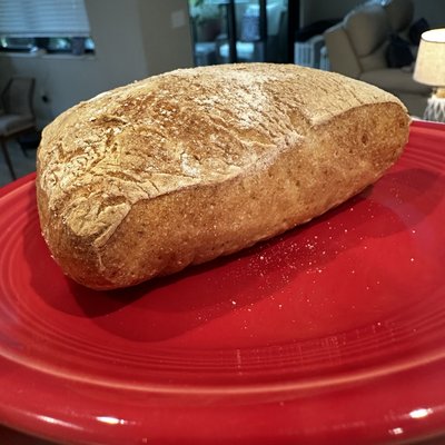 Ciabatta Rolls (6)