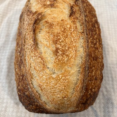 Plain White Sourdough Loaf 