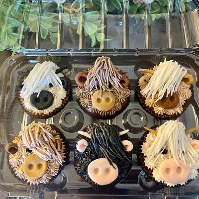 Highland Cow Cupcakes!  Dozen! 