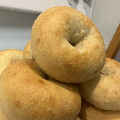 Plain Sourdough Bagel