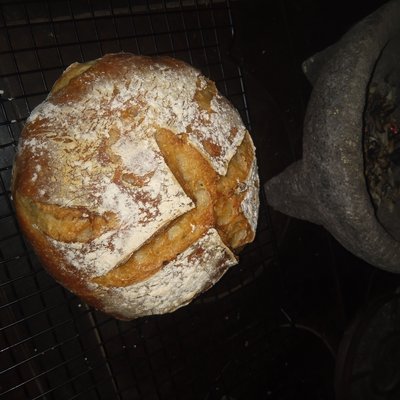 GF Sourdough Plain