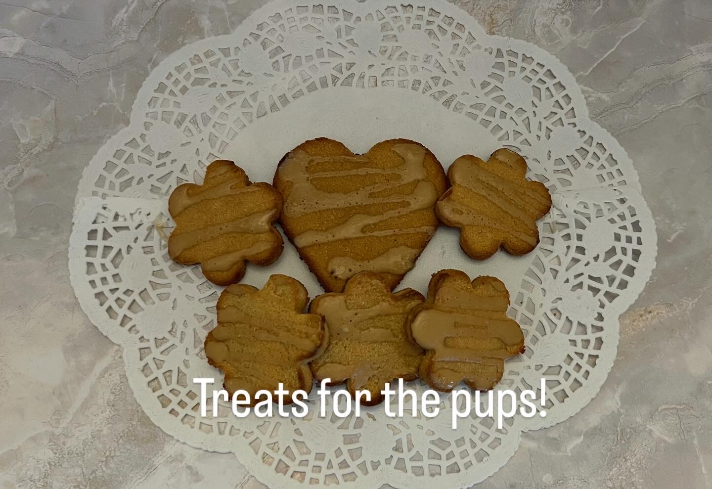 6 Grain Free Dog Treats 