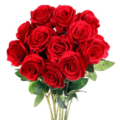 Dozen Of Roses 