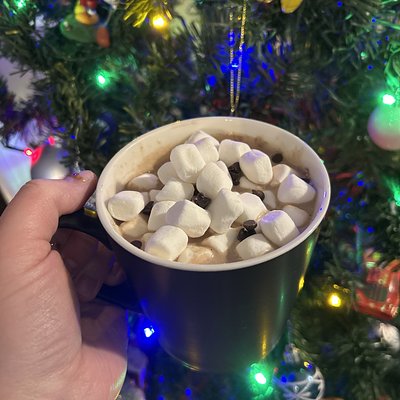Homemade Hot Cocoa 