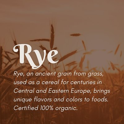 Organic Rye Berries (50 lb)