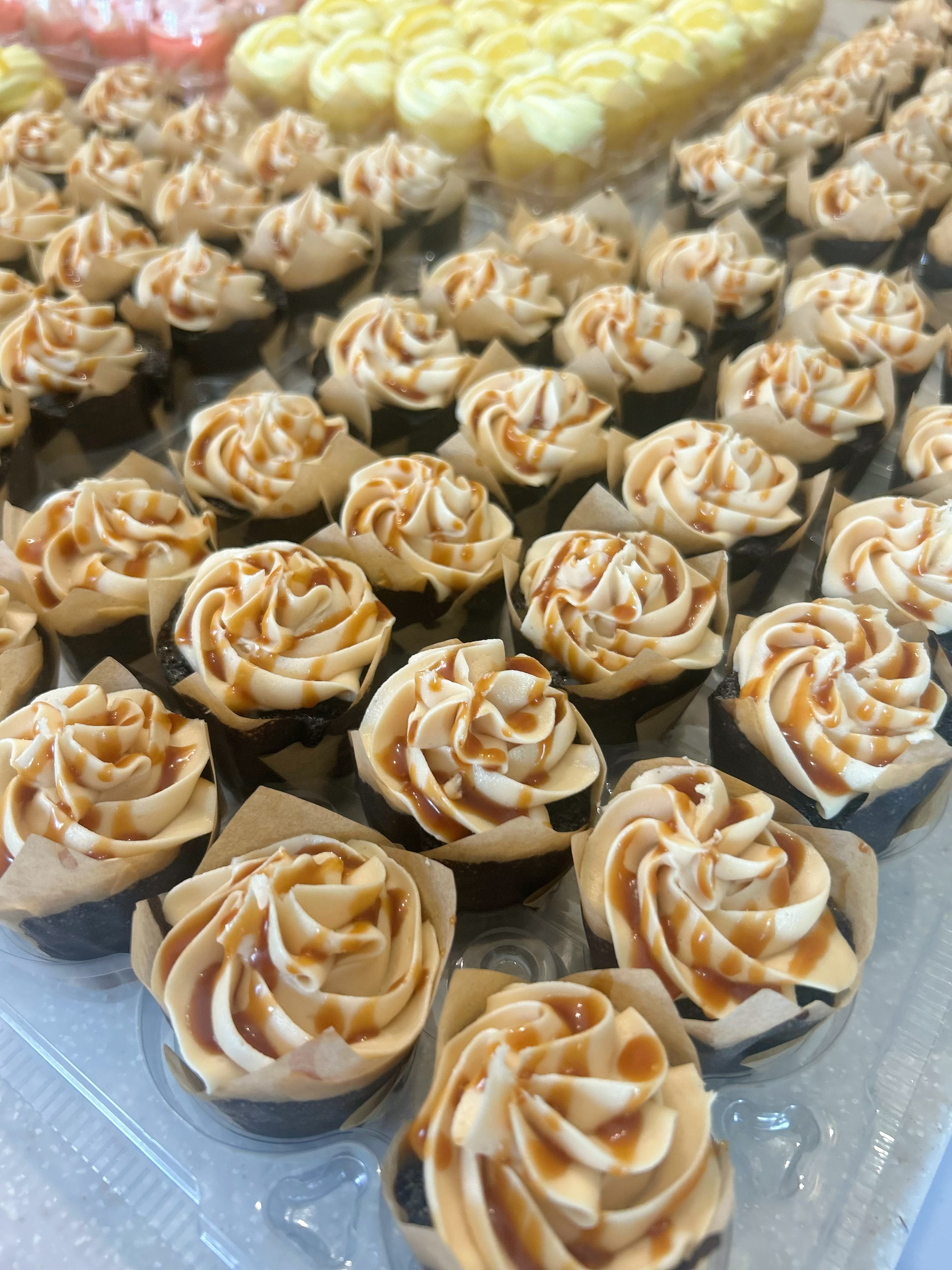 Mini Cupcakes