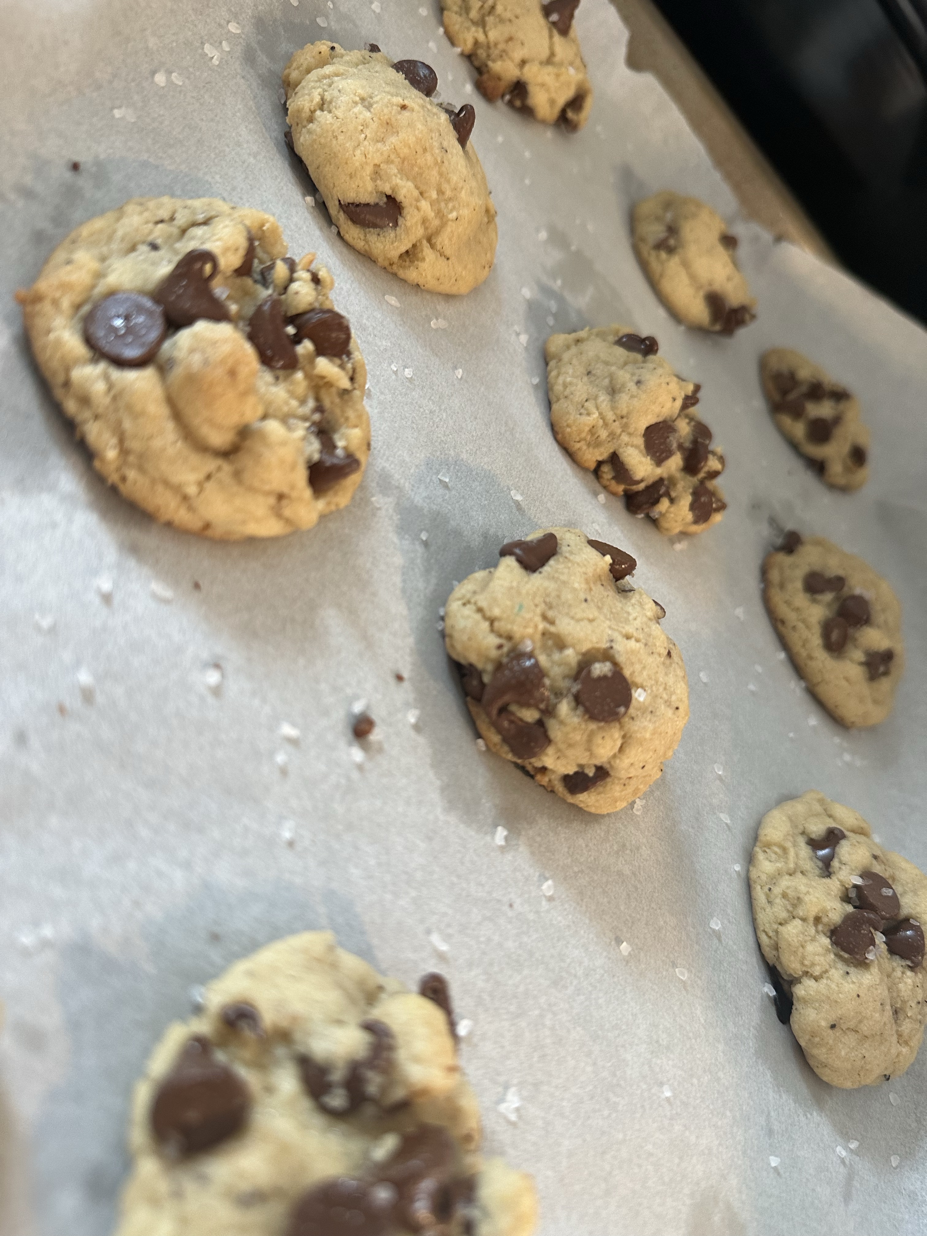 Sourdough Chocolate Chip Cookies