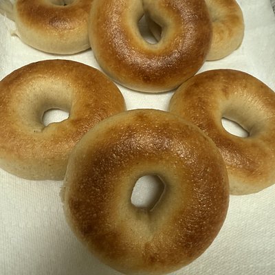 Plain Bagels 