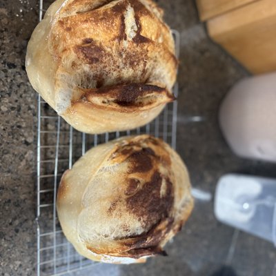 Cinnamon swirl 