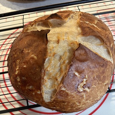 Sourdough Pretzel