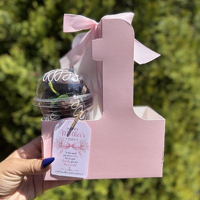 Strawberry / Rose Carrier 🍓🌹