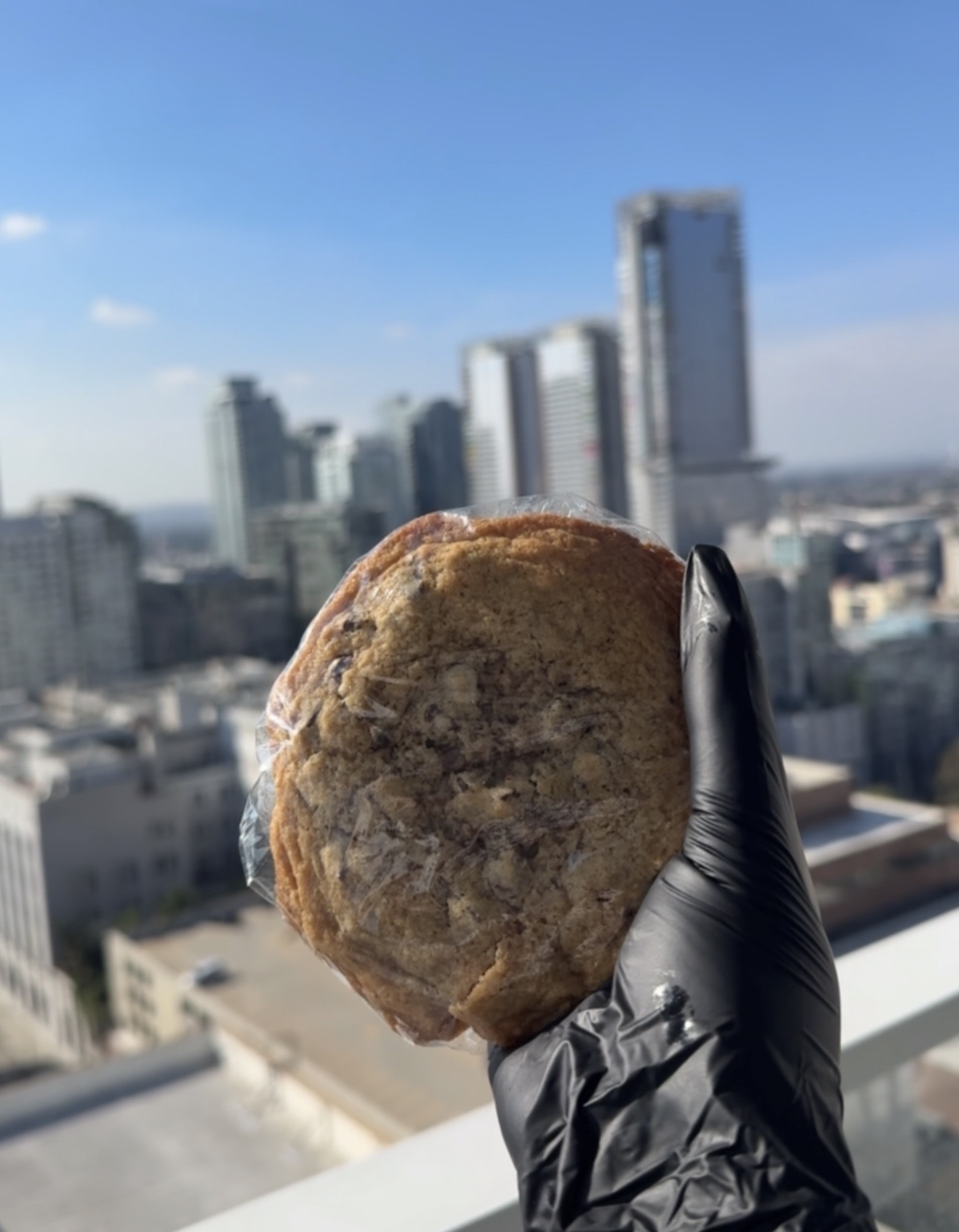 Infused 300 Choc. Chip Cookie