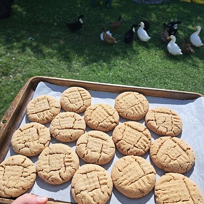 12 Pack Peanut Butter Cookies 