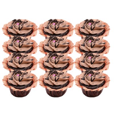 Be Bold! Cupcake Pack