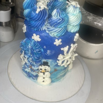 4in Winter Themed Cakes 