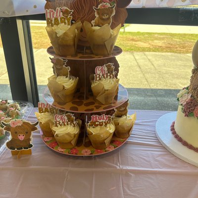 Dozen Cupcakes 