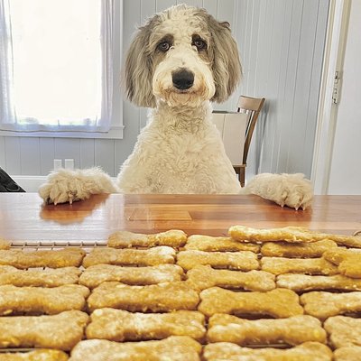 Sourdough Peanut Butter Dog Biscuits (12ct)