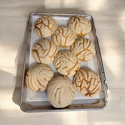 Conchas Half Dozen