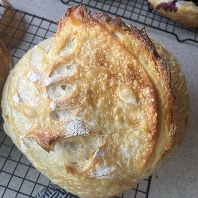Plain Sourdough Artisan Loaf 