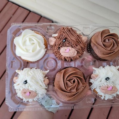 Cupcakes 