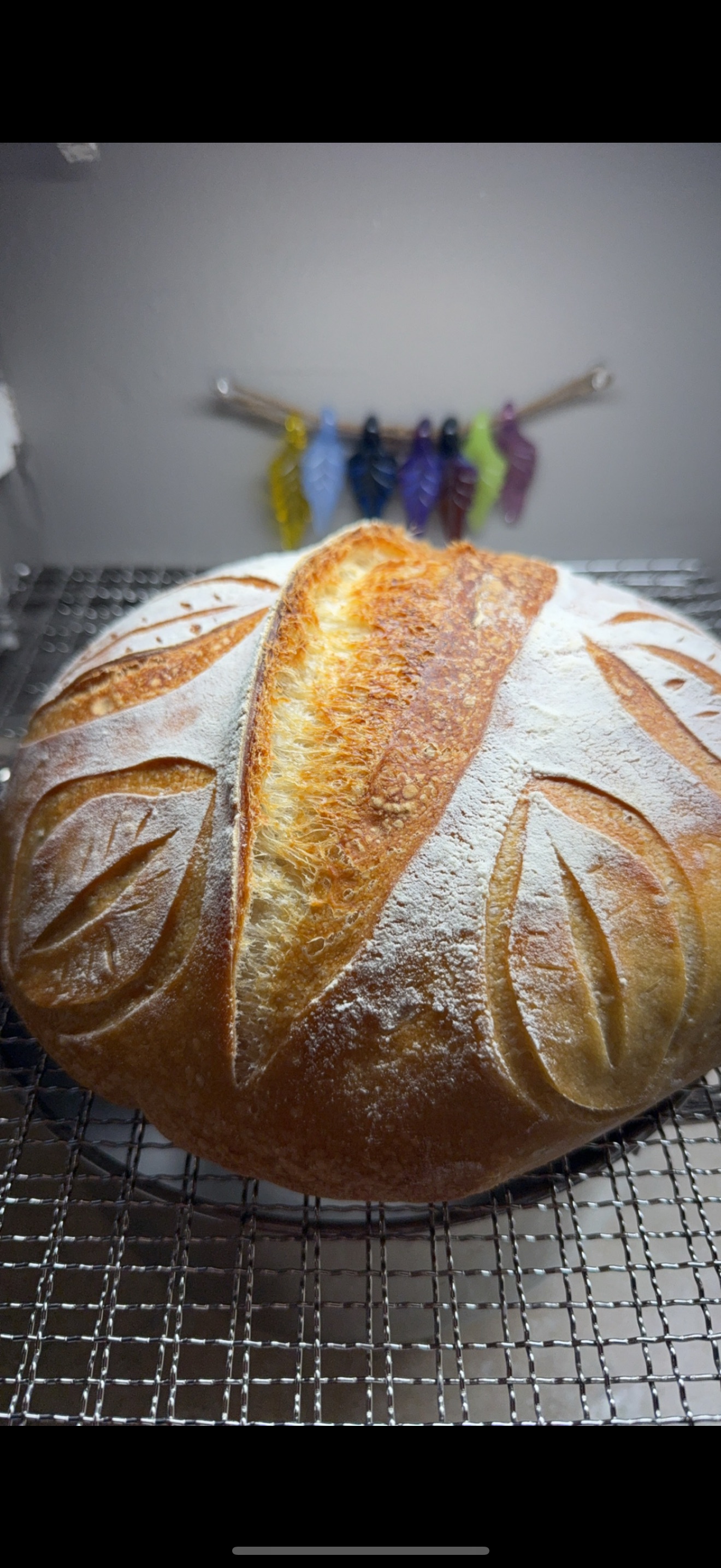 Whole Sourdough Loaf 