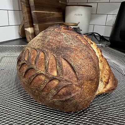 Artisan Sourdough Loaf - Organic - 950g