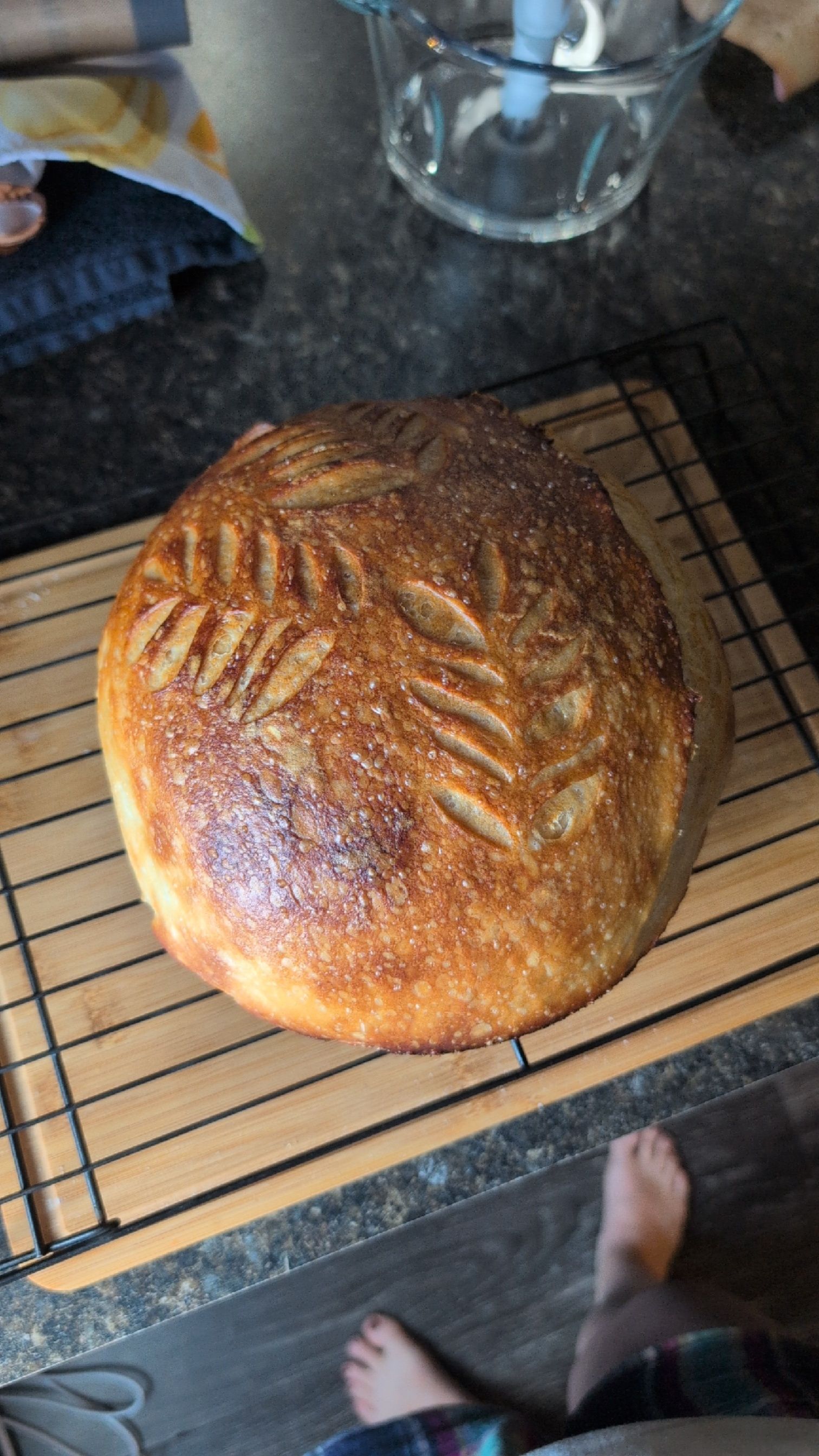 Plain Sourdough Loaf