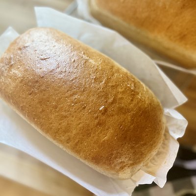 Honey Wheat Sandwich Bread