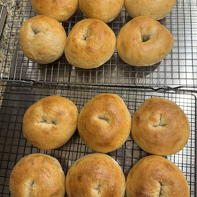 1/2 Dozen Sourdough Bagels!