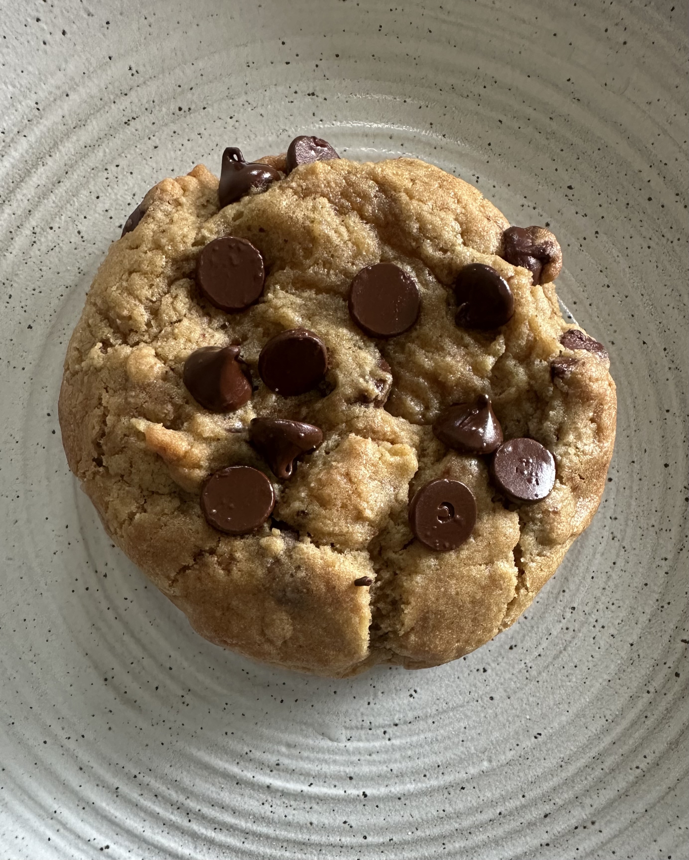 Chocolate Chip Cookie
