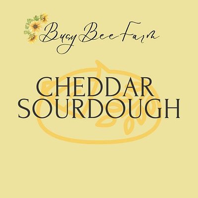Cheddar Sourdough