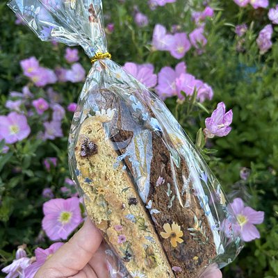 Biscotti (4)