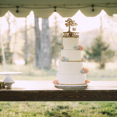 Wedding Cakes (tastings Available!)