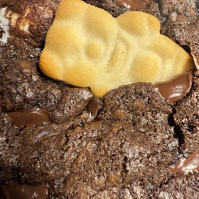  Hot Cocoa Cookie 1/2 Pound