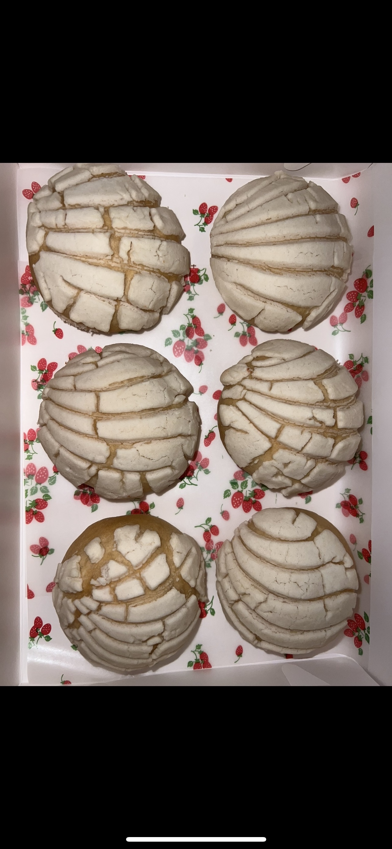 Mini Conchas
