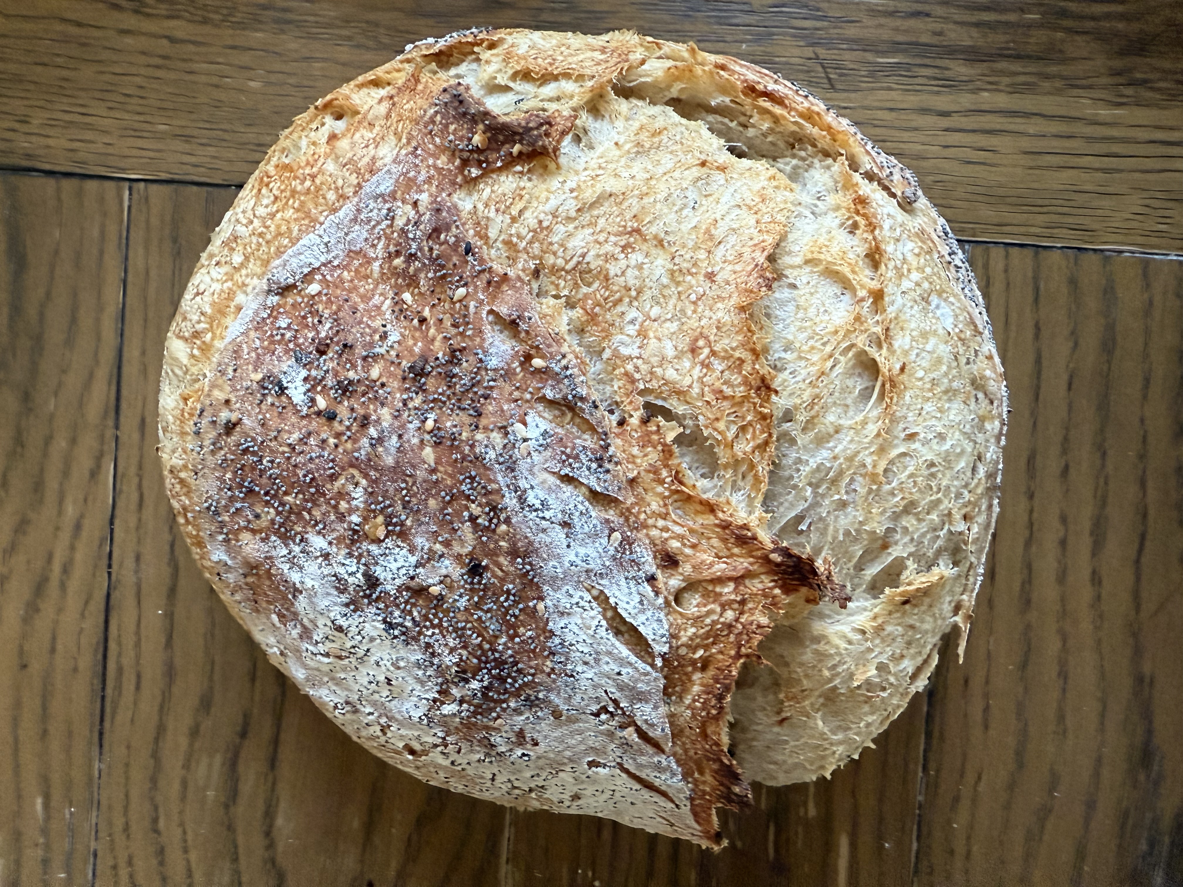 Artisan Everything but the Bagel Sourdough Bread