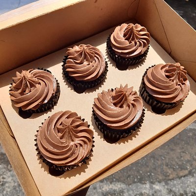 Chocolate Cupcakes 