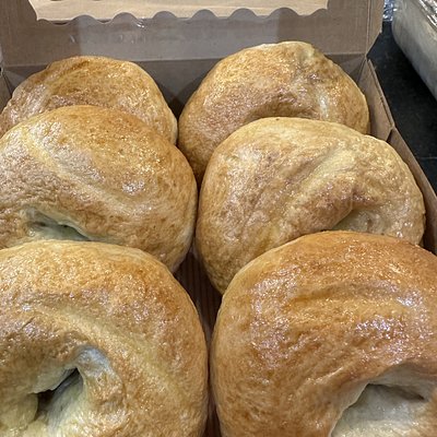 Organic Plain Bagel - 1 Dozen