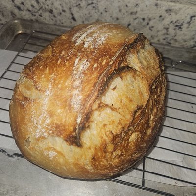 Artisan Sourdough Loaf Plain Large 